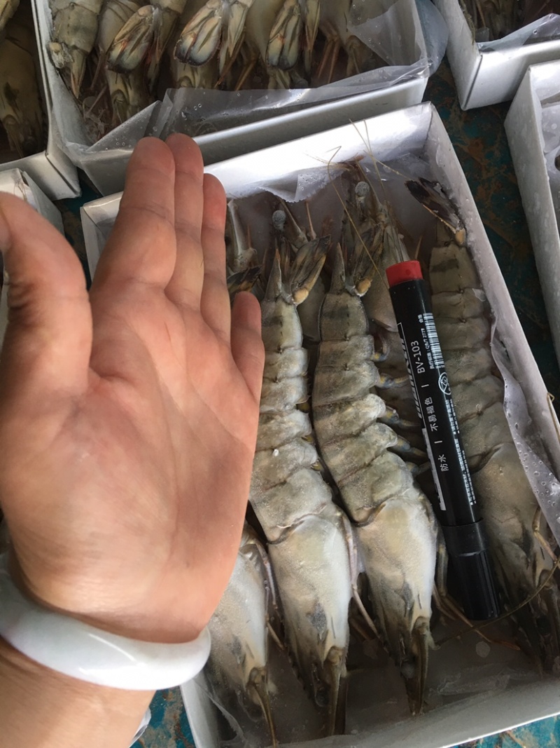港口一手货源黑虎虾，大虾，东风虾，全国代发货