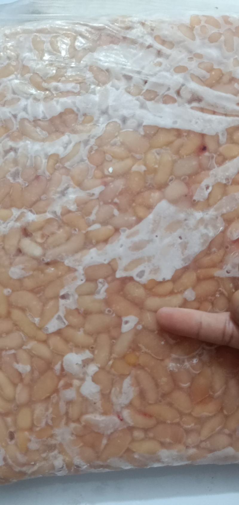 鸡腰子