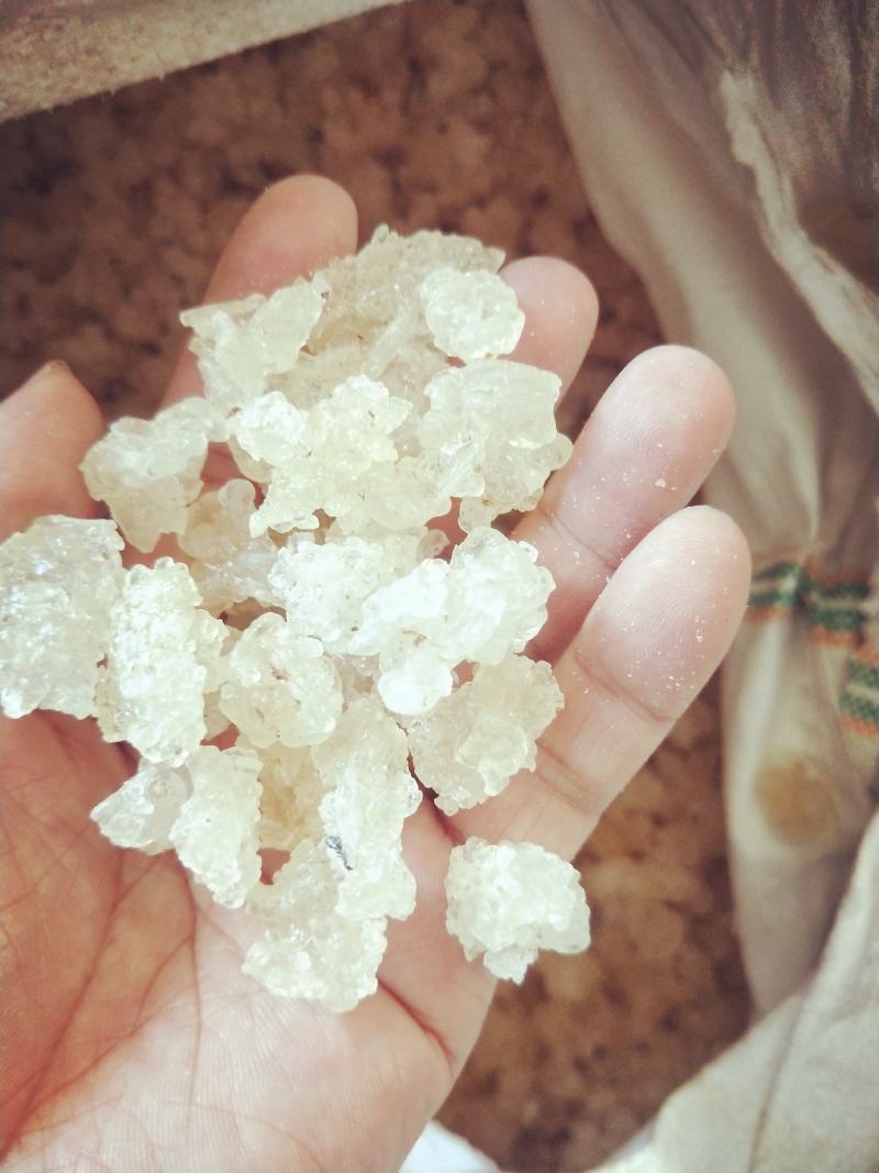 雪燕