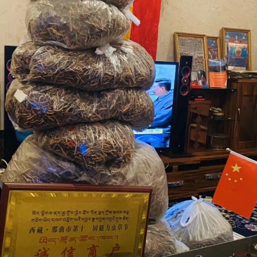 冬虫夏草