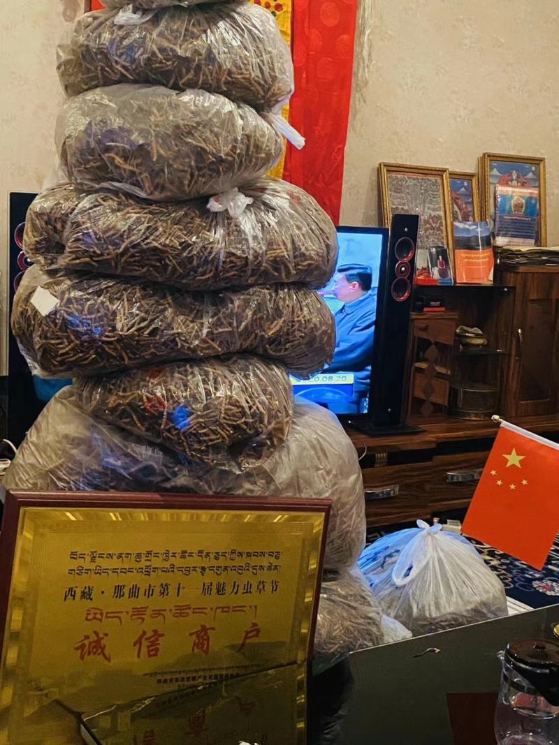 冬虫夏草