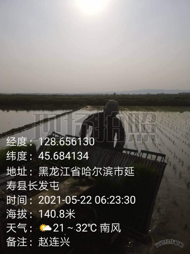 小龙人孝親米袋
