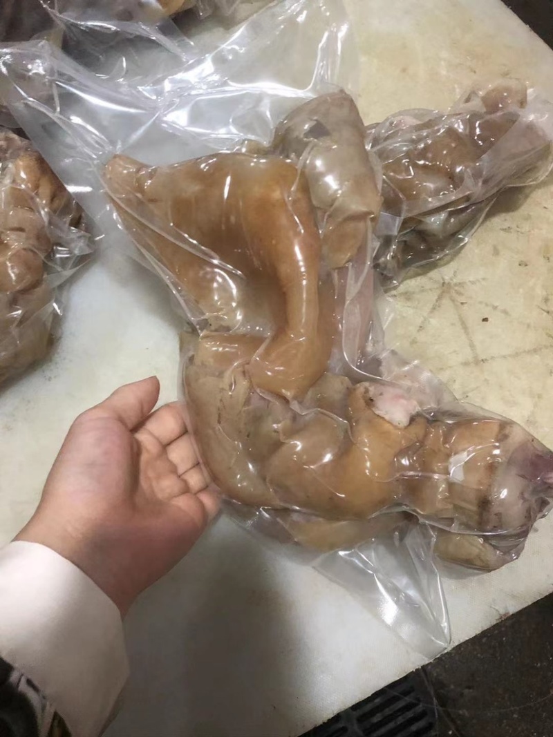 山东滨州火烧毛牛蹄全去骨牛蹄单个全国运输欢迎订购