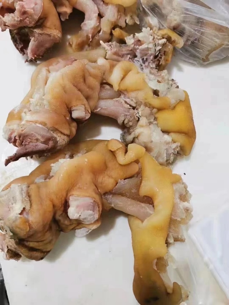 山东滨州火烧毛牛蹄全去骨牛蹄单个全国运输欢迎订购