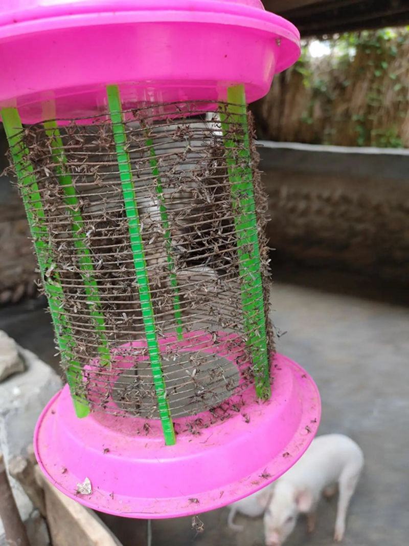 养殖场大号LED电击灭蚊灯电子杀虫飞蛾灯驱蚊器诱蝇器电蚊