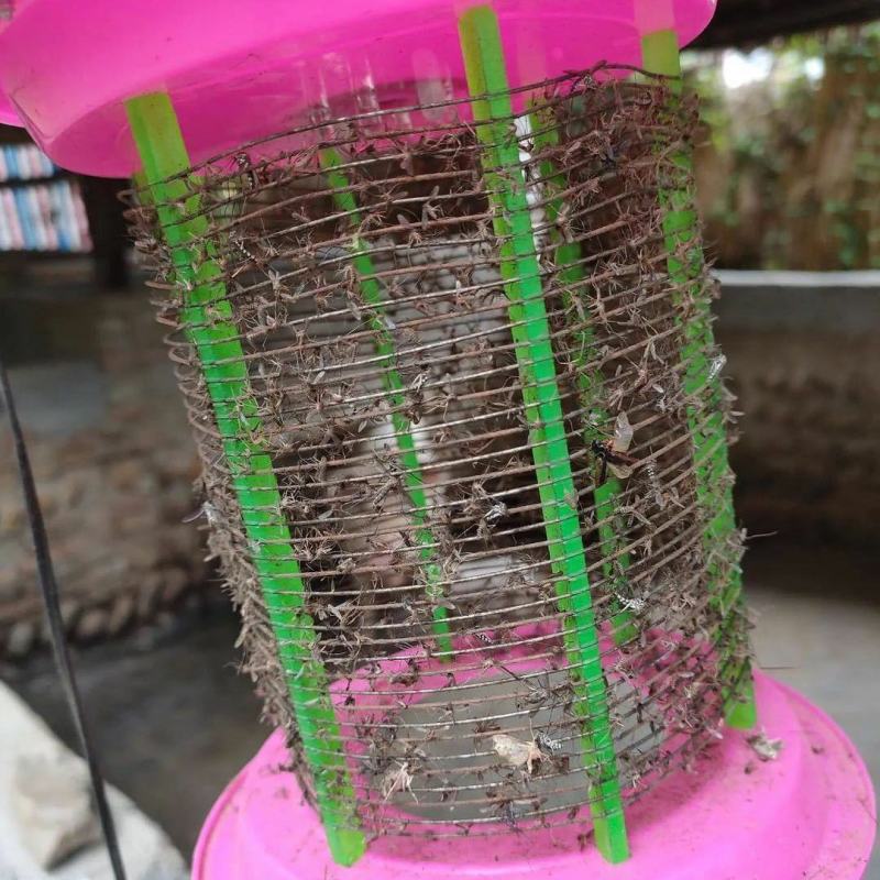 养殖场大号LED电击灭蚊灯电子杀虫飞蛾灯驱蚊器诱蝇器电蚊