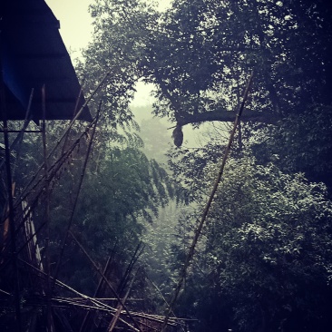 老家四川农村山地200亩，风景好，现已列旅游开发区，