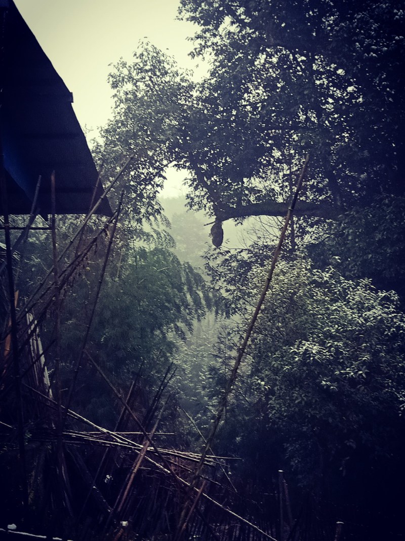 老家四川农村山地200亩，风景好，现已列旅游开发区，
