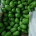 青茄4两以上茄子基地茄子批发青茄子