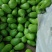 青茄4两以上茄子基地茄子批发青茄子