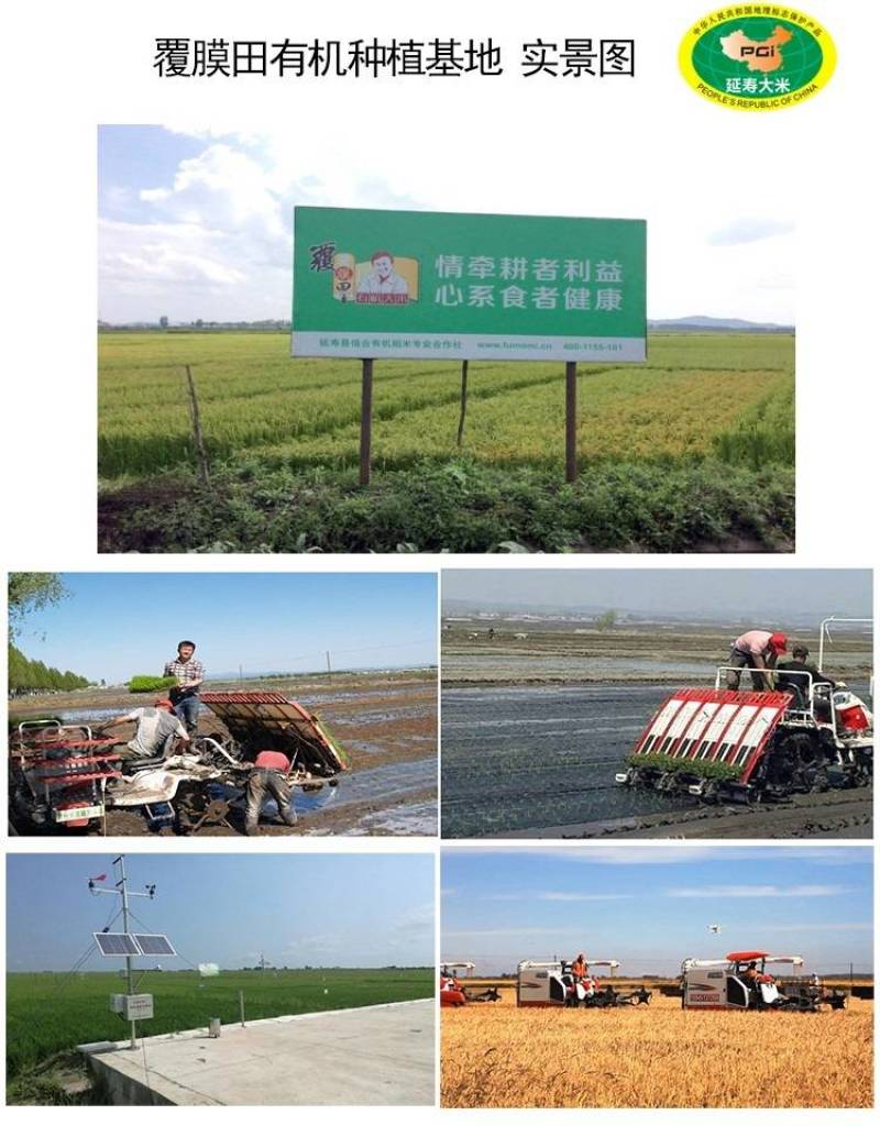 小龙人东北大米