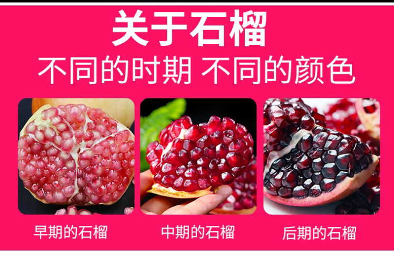 四川软籽石榴突尼斯皮薄汁多新鲜现摘水果一件代发