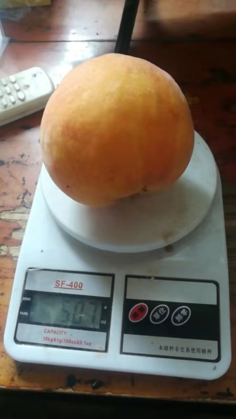 毛桃黄金密三号，货源三十亩有需要的联系我