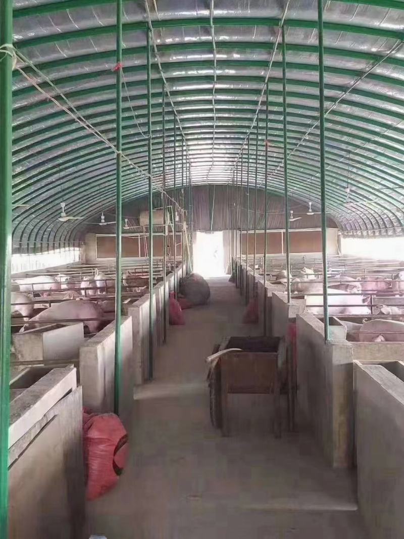 温室大棚骨架全套含膜热镀锌钢管全国发货包建