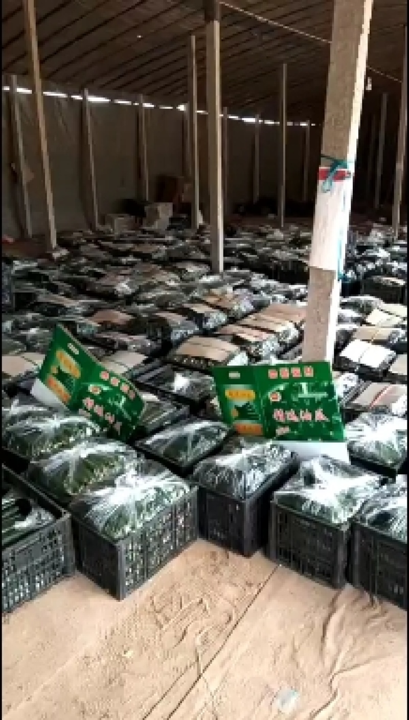 密刺黄瓜22~25公分干花带刺