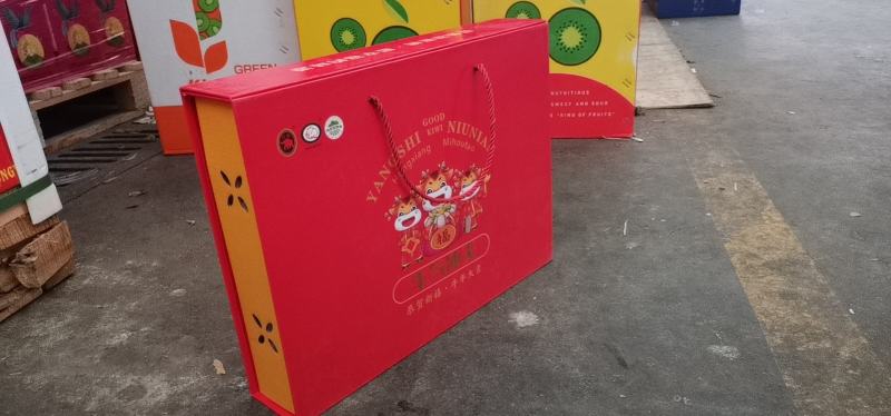 大象牌精品徐香翠香海沃德奇异果全面上市，接受各路渠道对接