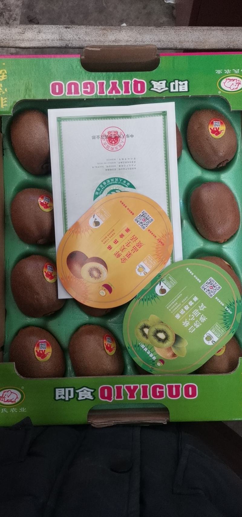 大象牌精品徐香翠香海沃德奇异果全面上市，接受各路渠道对接