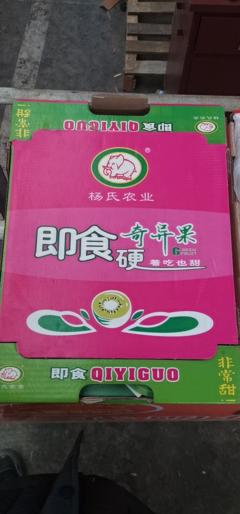 大象牌精品徐香翠香海沃德奇异果全面上市，接受各路渠道对接