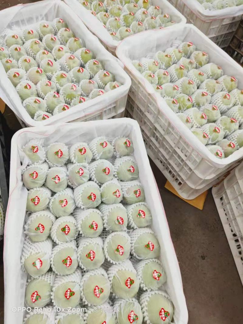 库尔勒香梨品质好皮薄多汁核小，优果多整车代发（诚信代办）