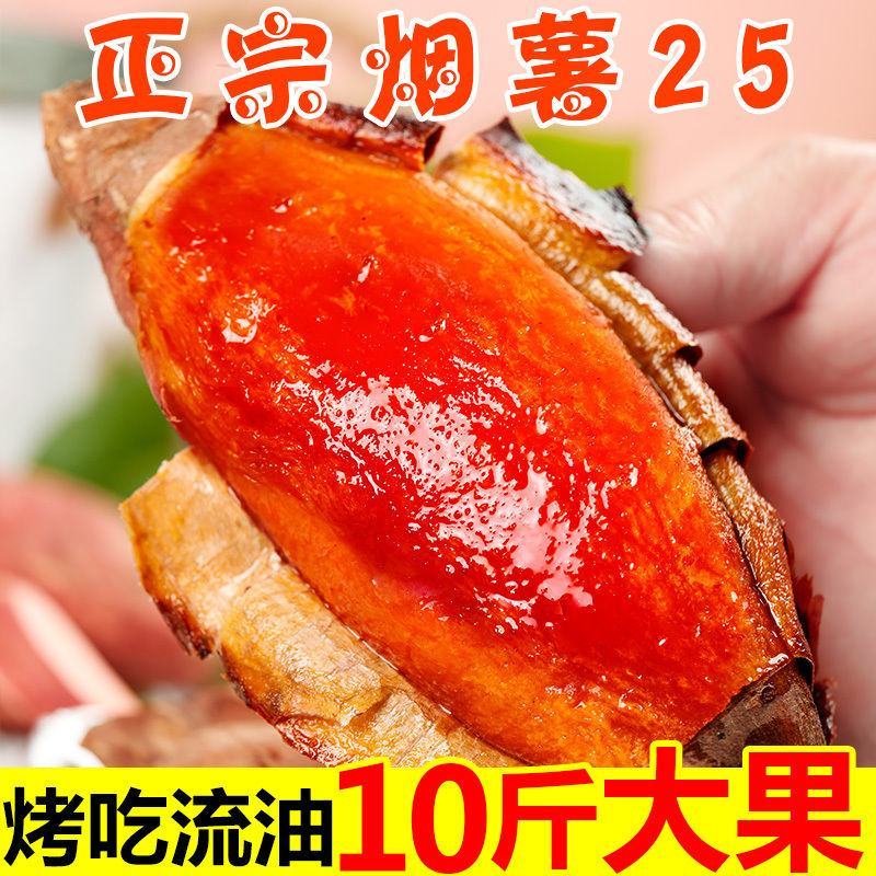 烟薯25号一件代发山东烟蜜薯21度蜜薯烤薯专用流油番薯