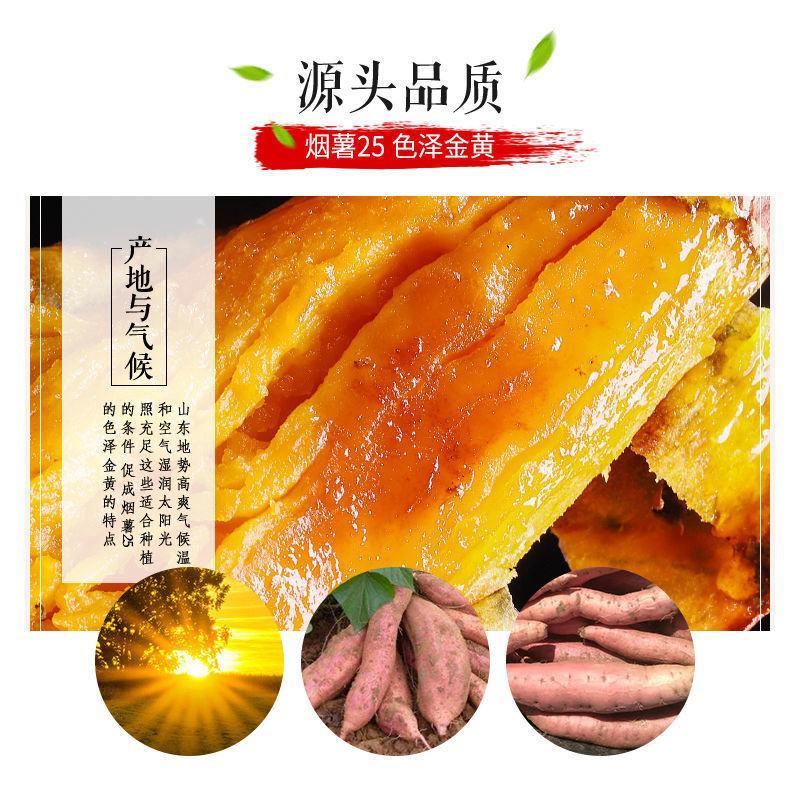 烟薯25号一件代发山东烟蜜薯21度蜜薯烤薯专用流油番薯