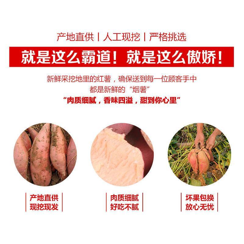 烟薯25号一件代发山东烟蜜薯21度蜜薯烤薯专用流油番薯