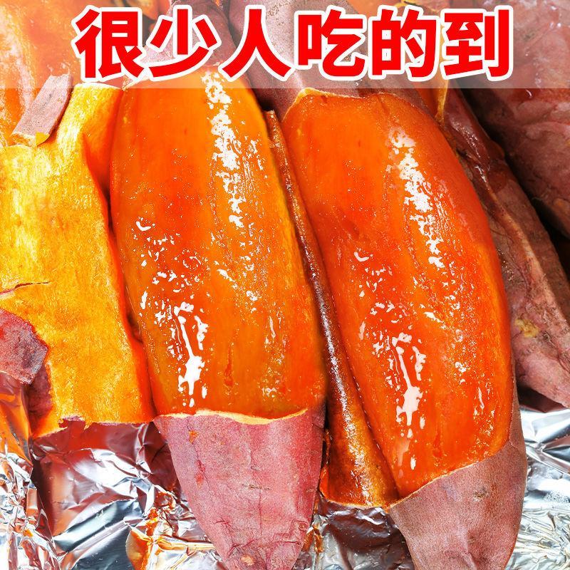 烟薯25号一件代发山东烟蜜薯21度蜜薯烤薯专用流油番薯