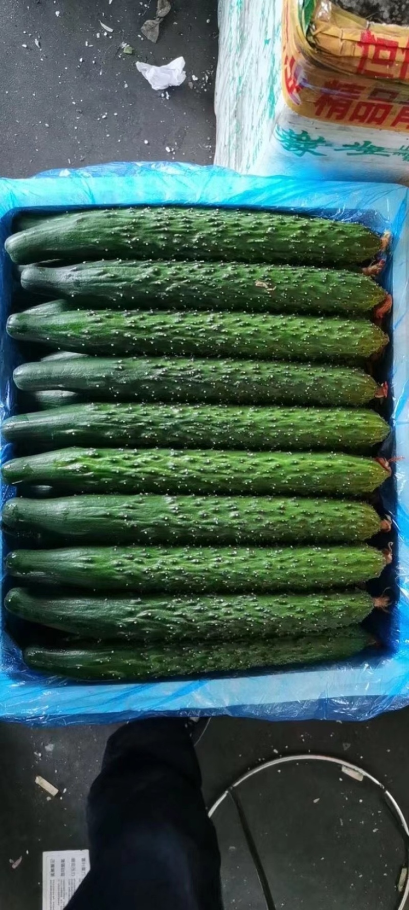 黄瓜
