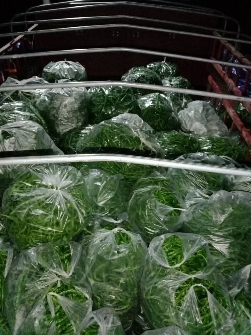 量大，特大，欢迎老板们下单。