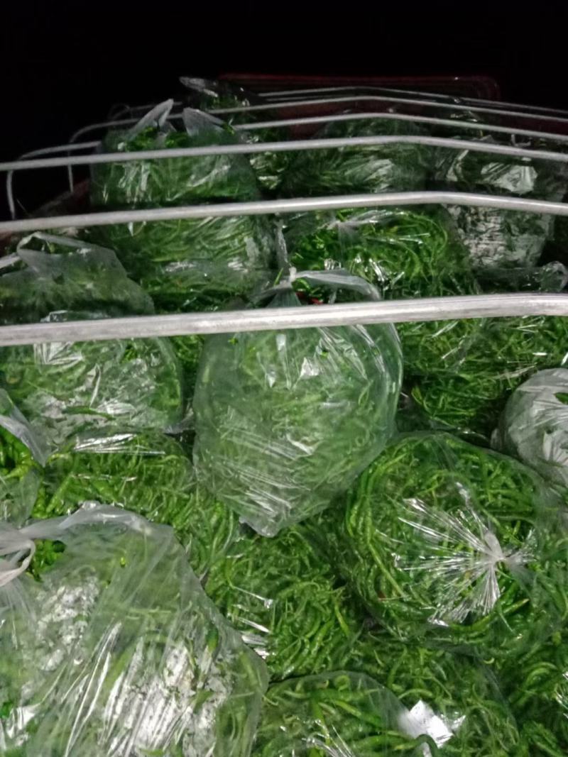 量大，特大，欢迎老板们下单。