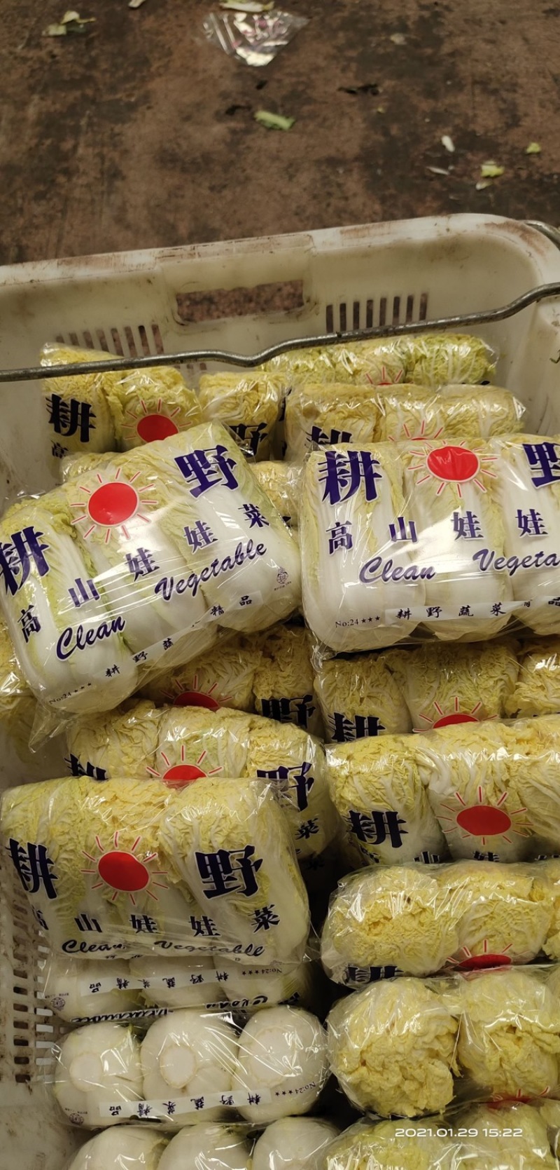 娃娃菜