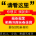 新鲜兔肚生兔肚现杀生兔肚2斤装免清洗多省包邮免运费