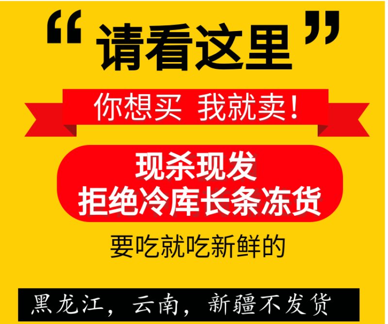 新鲜兔肚生兔肚现杀生兔肚2斤装免清洗多省包邮免运费