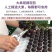 【浦江巨峰葡萄】新鲜水果大颗粒易剥皮独立包装整箱发货香甜