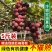 【浦江巨峰葡萄】新鲜水果大颗粒易剥皮独立包装整箱发货香甜