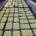 海棠果花红罐头果提酸果果脯果干原材料