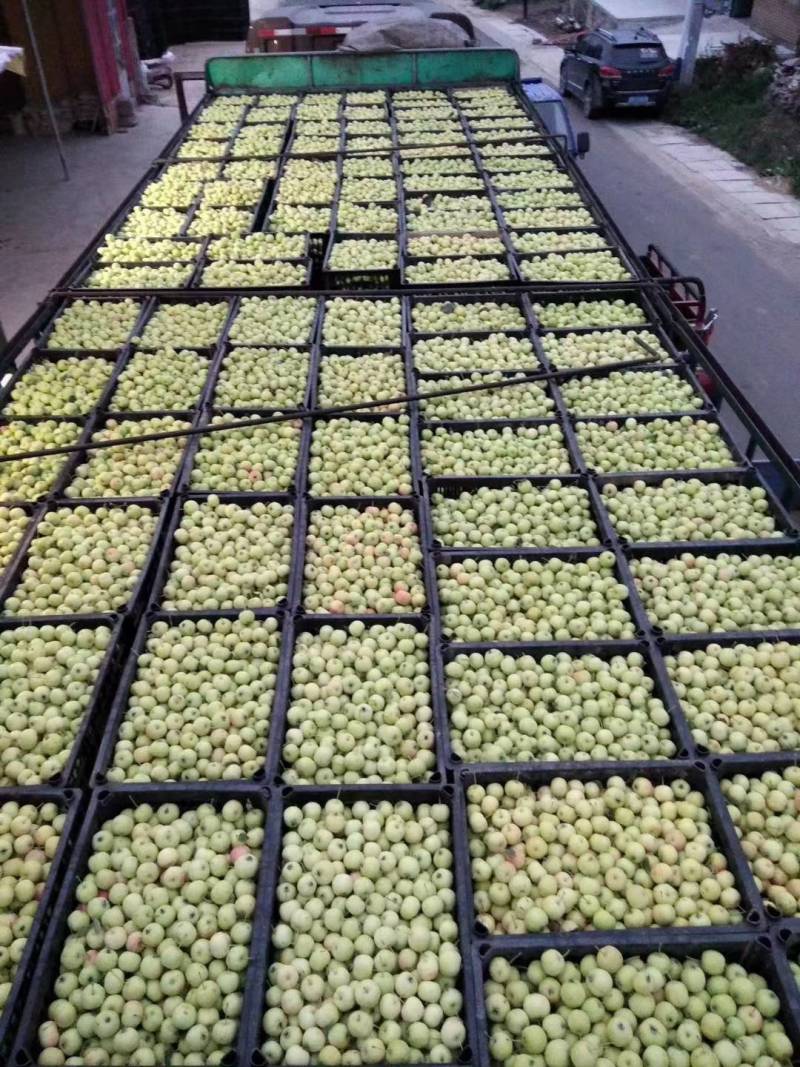 海棠果花红罐头果提酸果果脯果干原材料