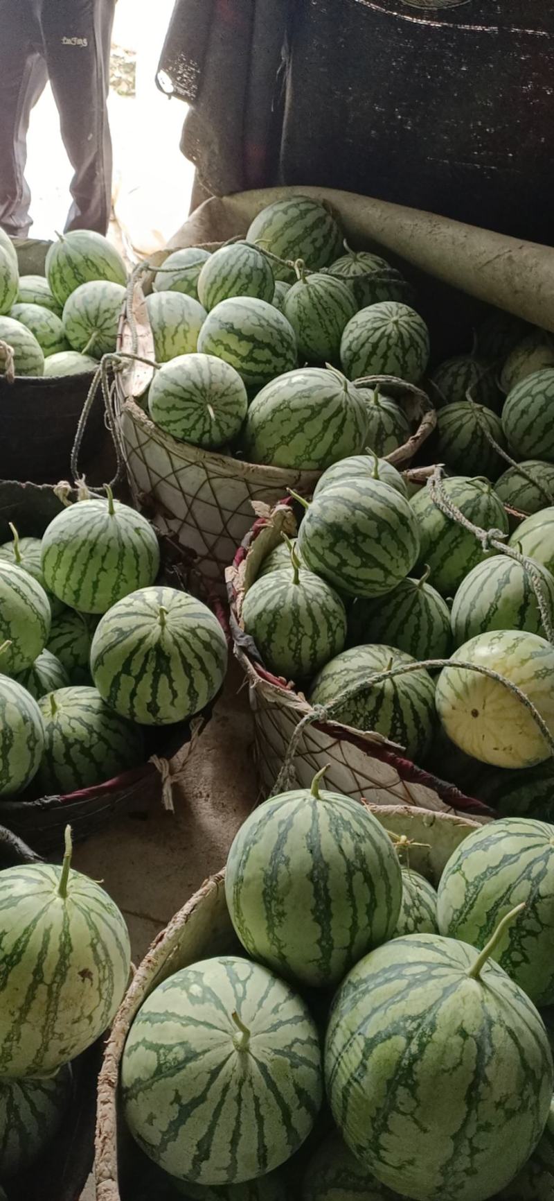 西瓜