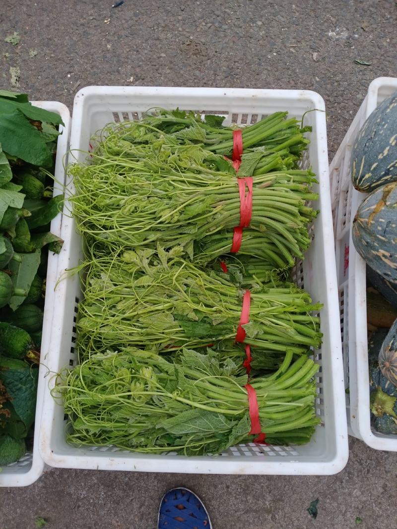 丝瓜