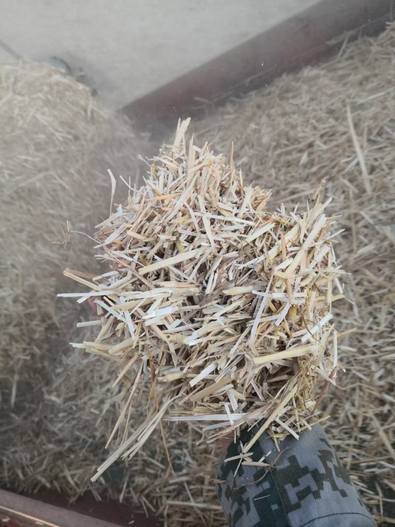二次加工小麦秸秆精品牛羊草料无土无霉变