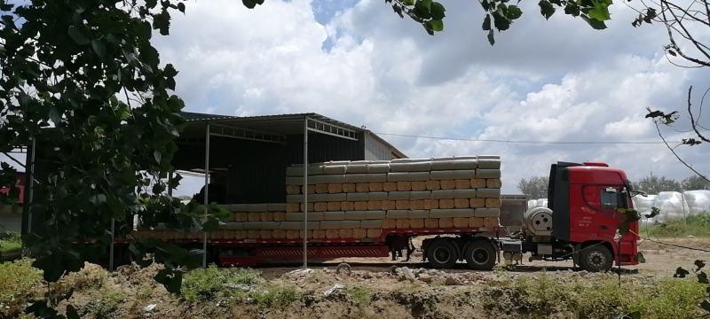 二次加工小麦秸秆精品牛羊草料无土无霉变