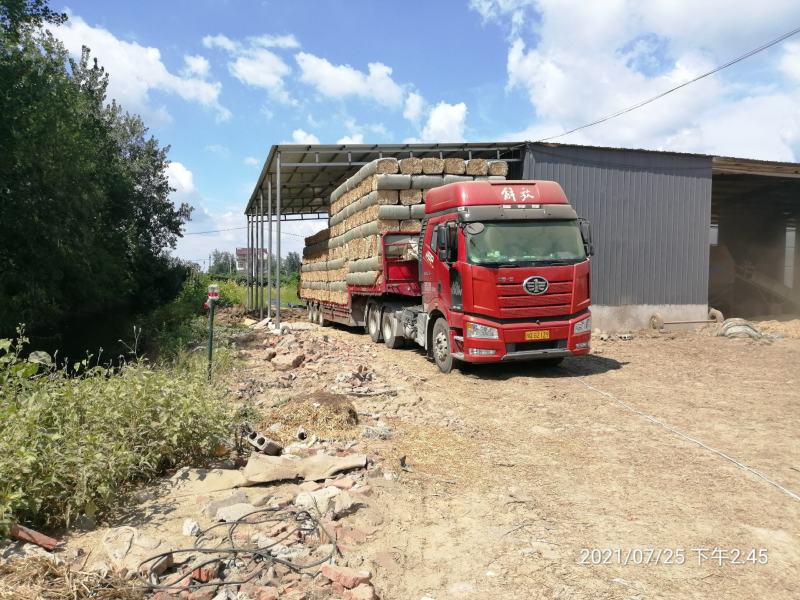 二次加工小麦秸秆精品牛羊草料无土无霉变