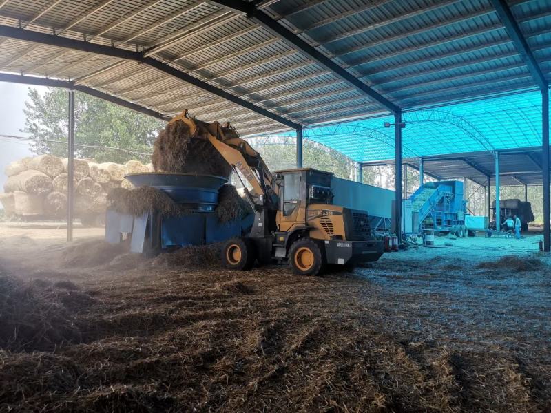 二次加工大捆小麦秸秆精品牛羊草料可实地考察除尘