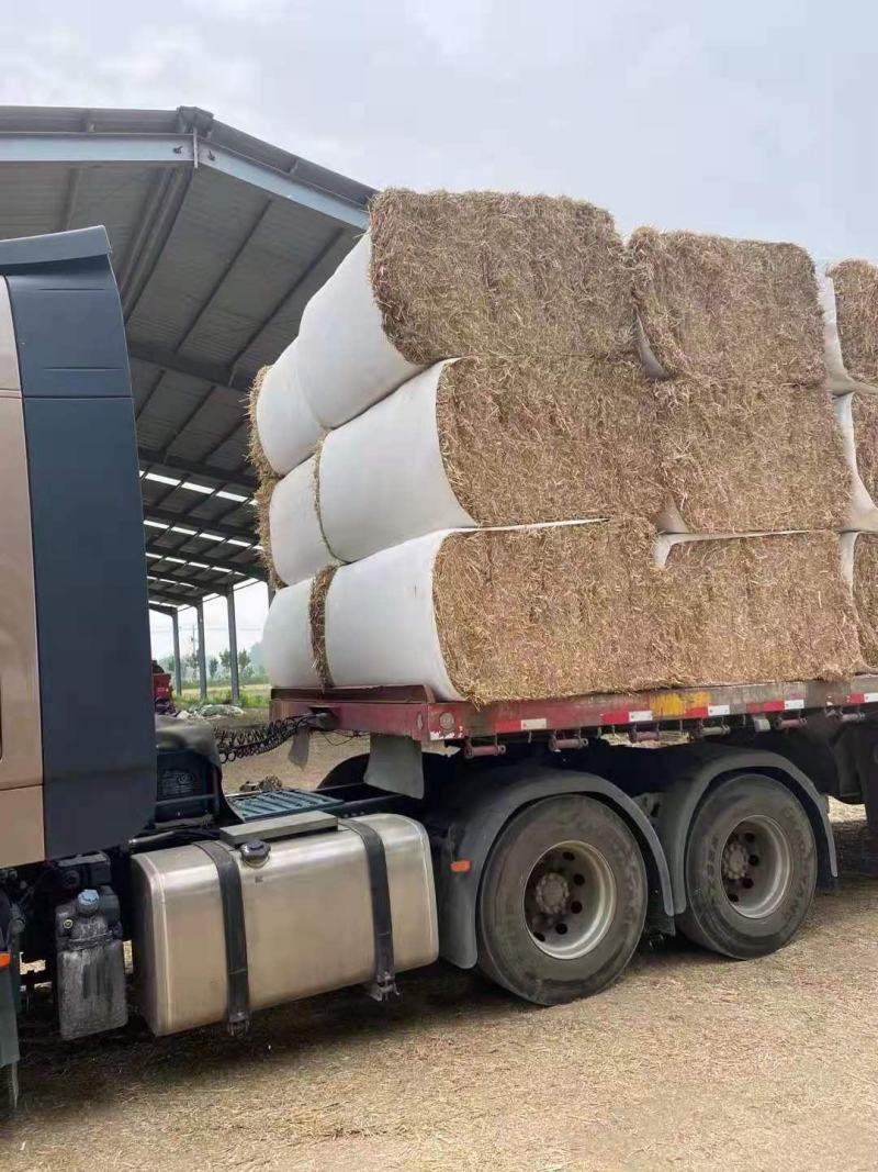 二次加工大捆小麦秸秆精品牛羊草料可实地考察除尘