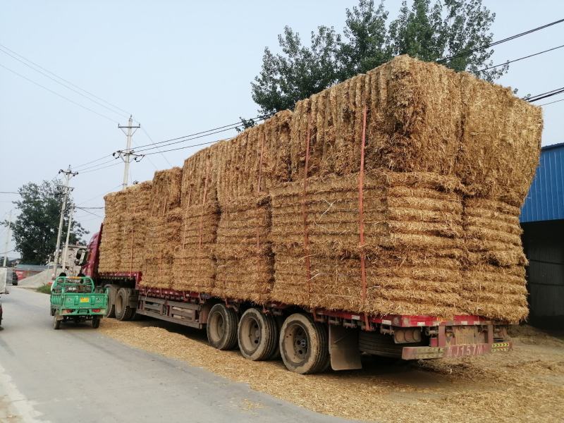 二次加工大捆小麦秸秆精品牛羊草料可实地考察除尘