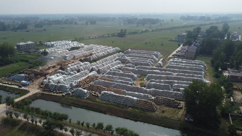 二次加工大捆小麦秸秆精品牛羊草料可实地考察除尘