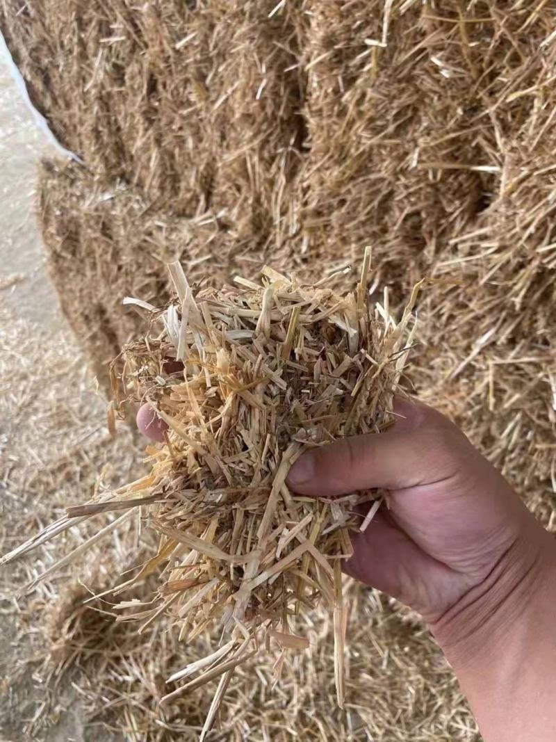 二次加工大捆小麦秸秆精品牛羊草料可实地考察除尘