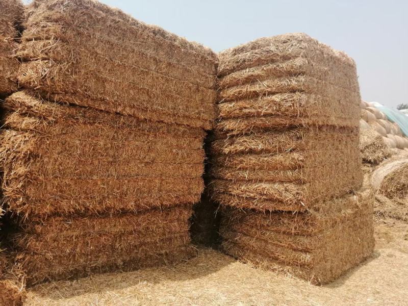 二次加工大捆小麦秸秆精品牛羊草料可实地考察除尘