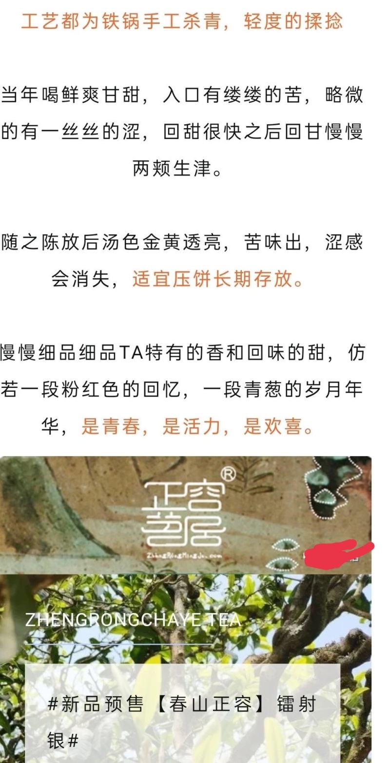 春山正容镭射银选用2021年勐库壹号基地春茶原料