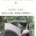 春山正容镭射银选用2021年勐库壹号基地春茶原料
